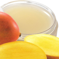 Блеск-бальзам для губ с маслом манго
